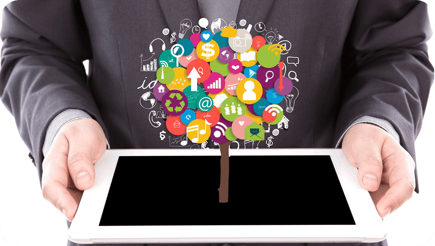 Ecommerce Web development