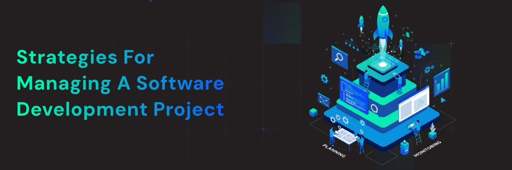 software development